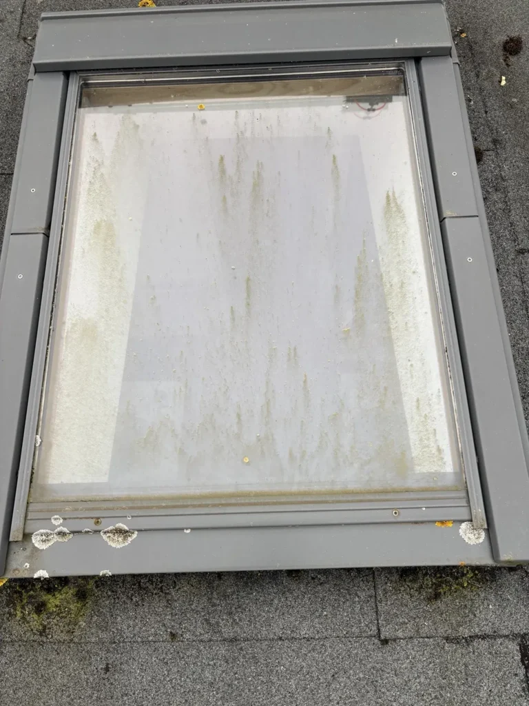 Skylight Cleaning — before cleaning
